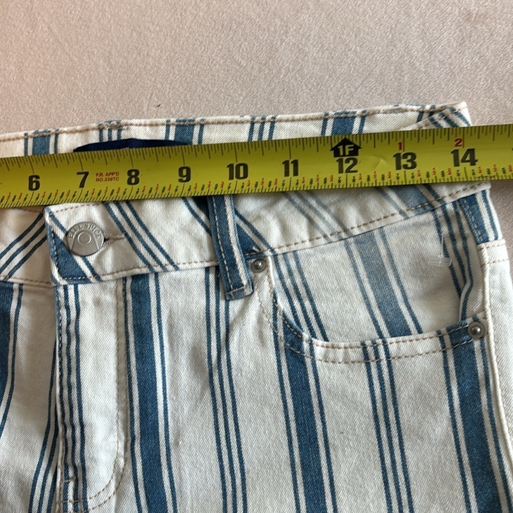 Blue Spice High Waist Ankle Striped Pants Size 5 - Picture 4 of 4